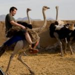 ostrich-riding-icon-350-x-300_160eecc3414209c6802c9962470e6f52